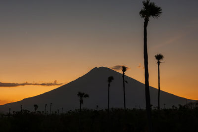 Silhouette palm trees against sky during sunset