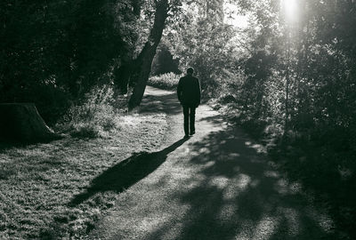 Rear view of man walking on street amidst trees