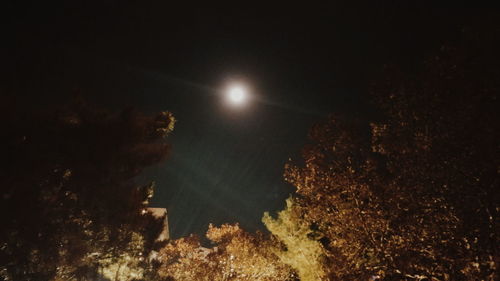 Low angle view of illuminated trees against sky at night