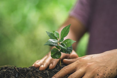 Close-up of hands planting plant in soil outdoors