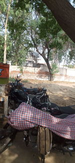 People relaxing by potted plants on road