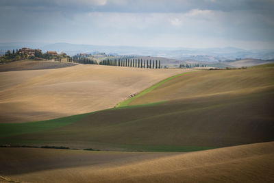 Scenic view of farm against sky