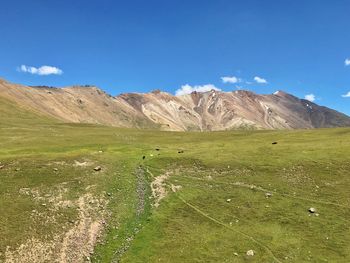 Scenic view of field against blue sky