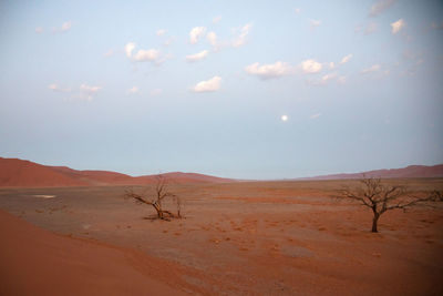 Scenic view of desert against sky. deadvlei, namib