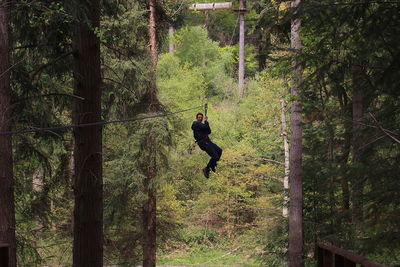 Man zip lining amidst trees at forest