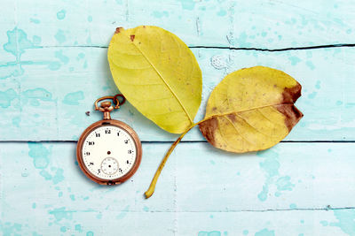 Close-up of yellow autumn leaf