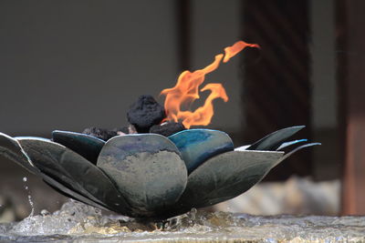 Close-up of burning campfire on rock