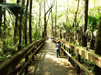 Rear view of child walking on footbridge in forest