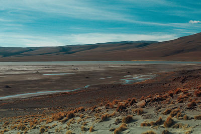 Scenic view of desert against sky