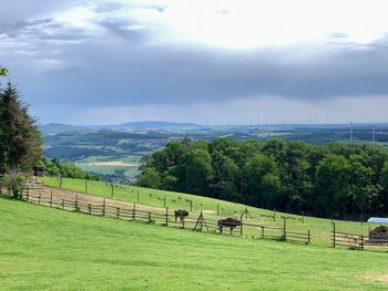 Scenic view of grassy field against sky