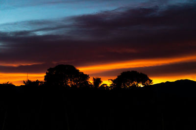 Silhouette trees against dramatic sky during sunset