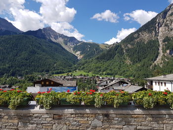 Plants and houses by mountains against sky