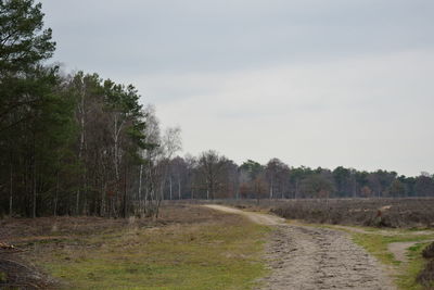 Dirt road amidst trees on field against sky