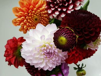 Close-up of flowers