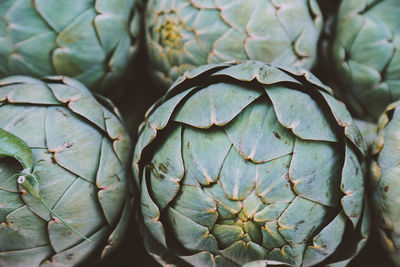 Full frame shot of fruit