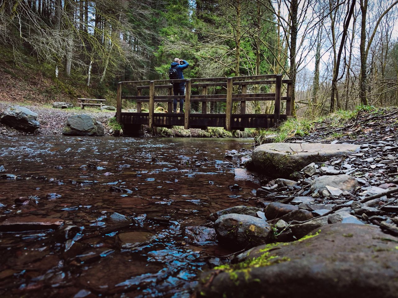 tree, water, forest, plant, one person, land, full length, nature, day, real people, stream - flowing water, standing, beauty in nature, non-urban scene, rock, flowing water, growth, solid, outdoors, flowing