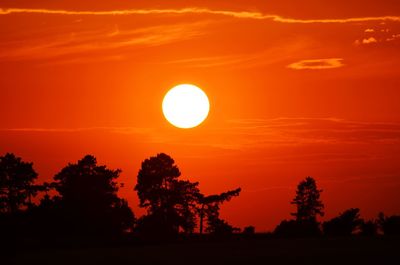 Silhouette trees against romantic sky at sunset