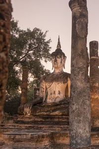 View of buddha statue against trees