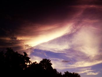 Silhouette trees against sky at sunset