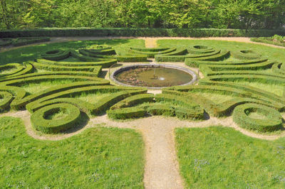 High angle view of agricultural field