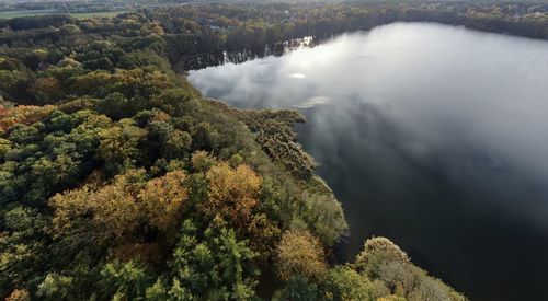 High angle view of river amidst trees