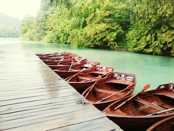 Boats moored on river by trees