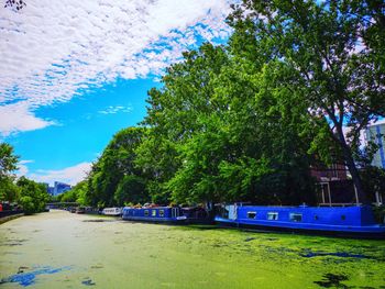 Scenic view of park against blue sky