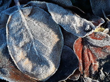 Full frame shot of rock on land