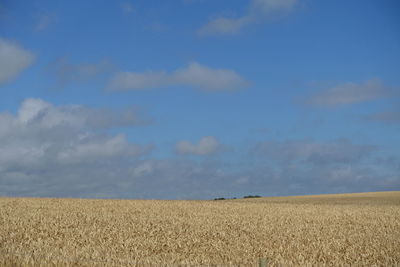 Scenic view of sandy beach against sky