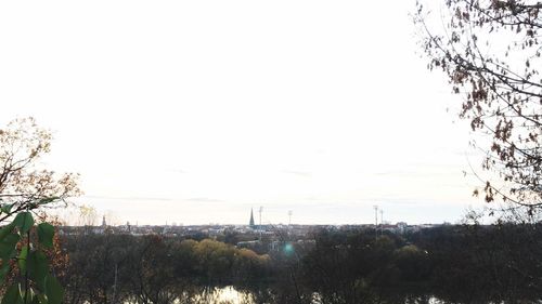 Trees on field against clear sky