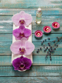 Close-up of pink orchid flowers on table