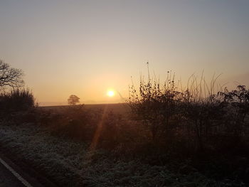 Scenic view of field against sky during sunset