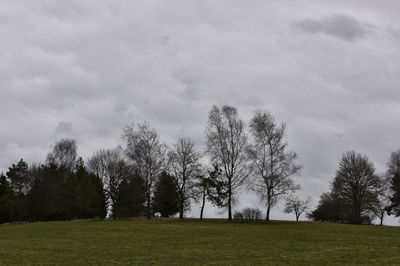 Trees on field against sky