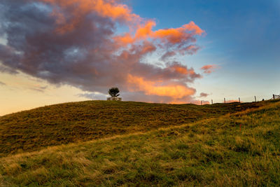 Scenic view of field against sky during sunset