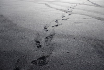 High angle view of footprints on sand