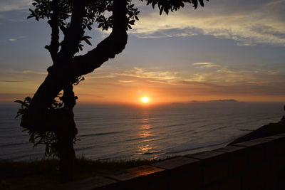 Silhouette tree against sea during sunset