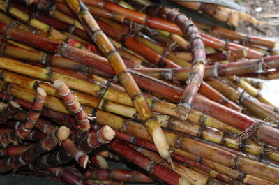 Close-up of food on table