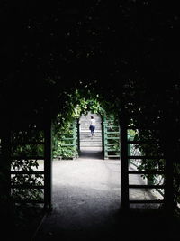 Man seen through trees