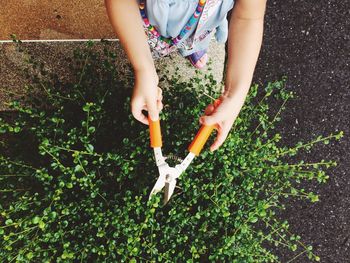 Low section of girl cutting plants