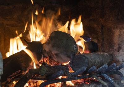 Bonfire on log at night