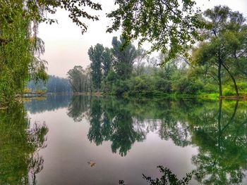 Reflection of trees in lake against sky