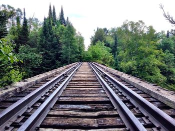 Railroad track in forest