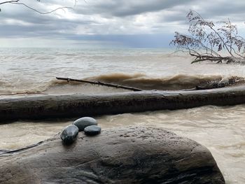 Scenic view of lake erie against sky, a tree trunk lying in water and some pebbles in the front