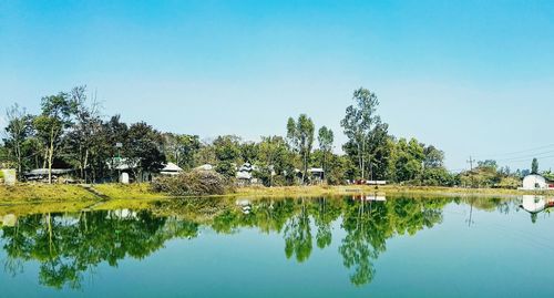 Reflection of trees in lake against clear sky