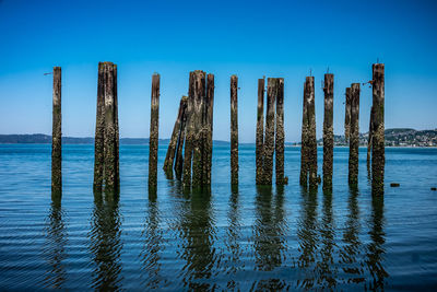 Wooden posts in sea against clear blue sky