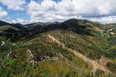 environment
