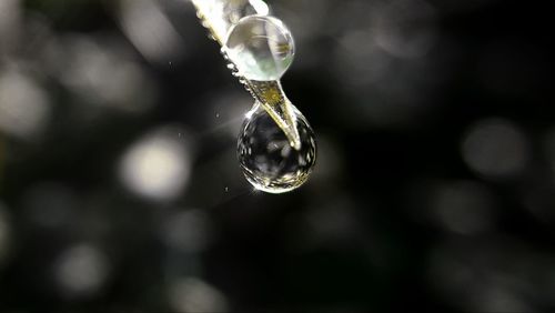 Close-up of water drops on spider web