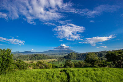 Scenic view of landscape against sky