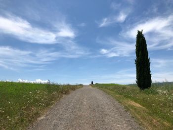 Road amidst plants on field against sky