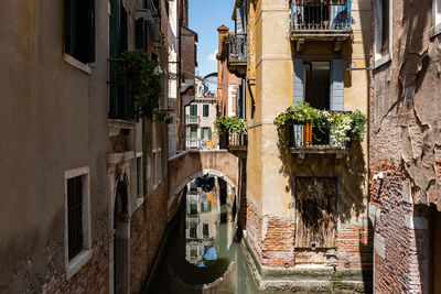 Scenic canal with bridge and old buildings with potted plants in venice, italy